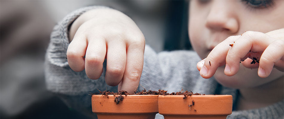 Ein Kind pflanzt in kleinen Tontöpfen und drückt mit den Fingern Erde in die Töpfe.