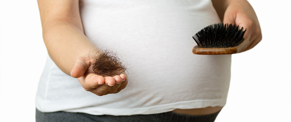 Schwangere Frau hält Haarbüschel in einer Hand und eine Haarbürste in der anderen Hand.